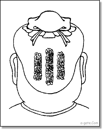 後山三十四骨註解-川字枕