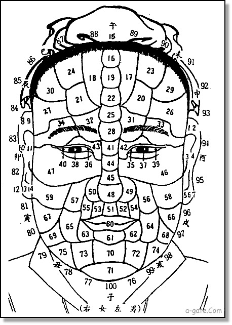 額頭中間有一塊突出來的骨叫什麼骨呢？